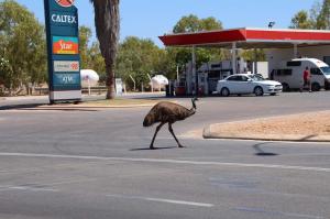 Go to Exmouth, WA 