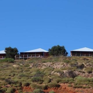Ningaloo Lighthouse Caravan Park