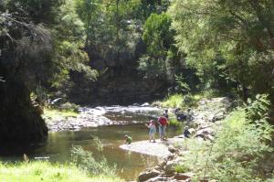 Go to Canyon Walk, Bright VIC