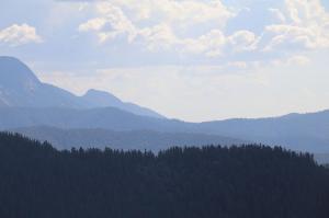 Go to Mystic Mountain, Bright VIC