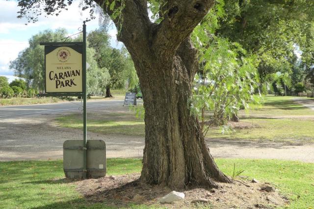Milawa Caravan & Tourist Park