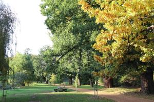 Go to Castlemaine Botanical Gardens, Castlemaine VIC