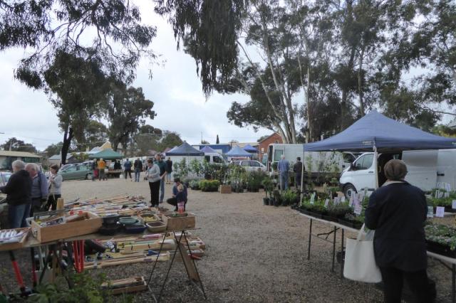 Wesley Hill Markets