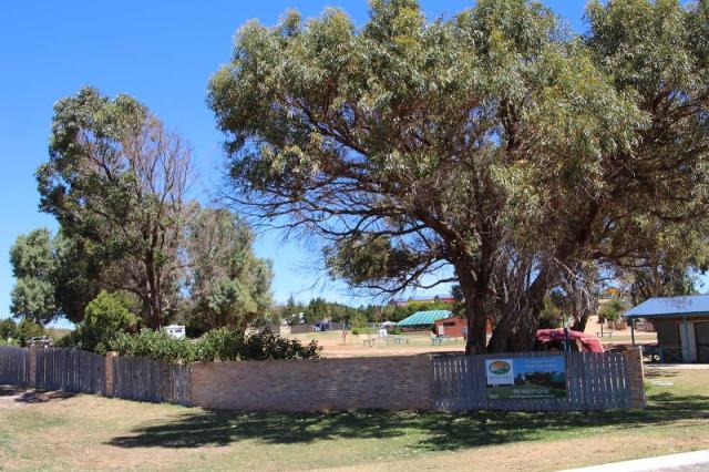 Dongara Tourist Park
