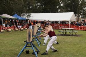 Go to Karuah Oyster and Timber Festival, Karuah NSW