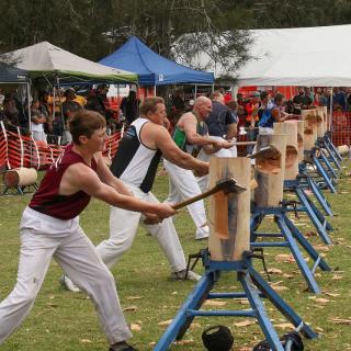 Karuah Oyster and Timber Festival