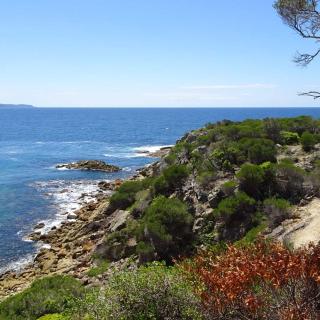 Tathra Memorial Gardens