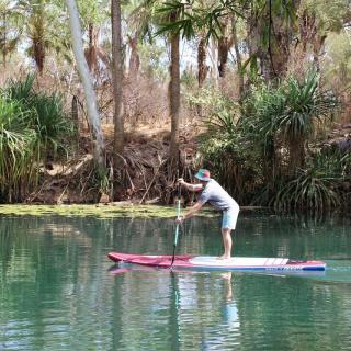 SUP board riding at Adels Grove