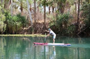 Go to SUP board riding at Adels Grove, Adels Grove QLD