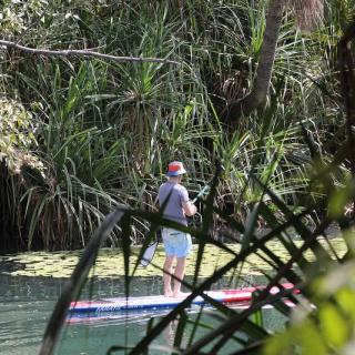 SUP board riding at Adels Grove
