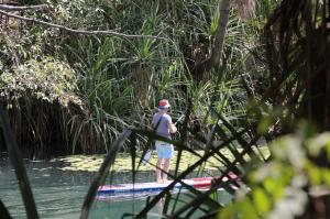 Go to SUP board riding at Adels Grove, Adels Grove QLD