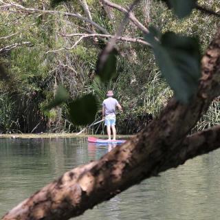 SUP board riding at Adels Grove