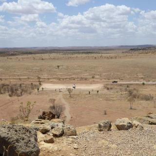 Australian Fossil Mammal Site Riversleigh