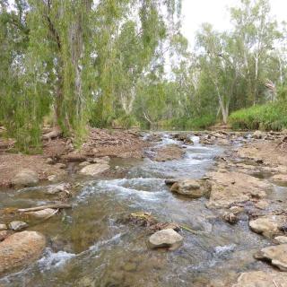 Gregory River Rest Area
