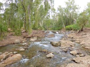 Go to Gregory River Rest Area, QLD