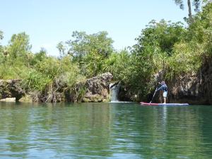 Go to SUPing at Lawn Hill Gorge, Adels Grove QLD