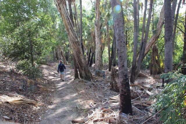 Duwadarri Lookout Walk