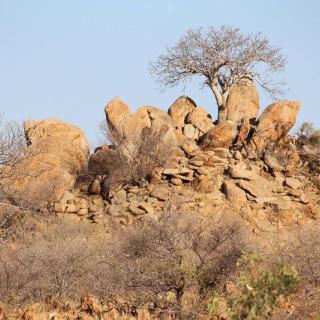 Barkly Hwy to Lake Julius