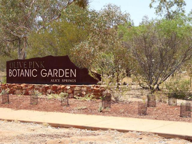 Olive Pink Botanic Garden Alice Springs