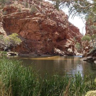 Ellery Creek Big Hole