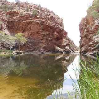 Ellery Creek Big Hole