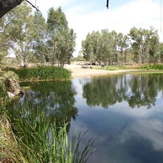 Ellery Creek Big Hole