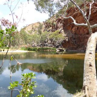 Ellery Creek Big Hole
