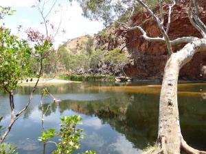 Go to Ellery Creek Big Hole, West MacDonnell NP NT 