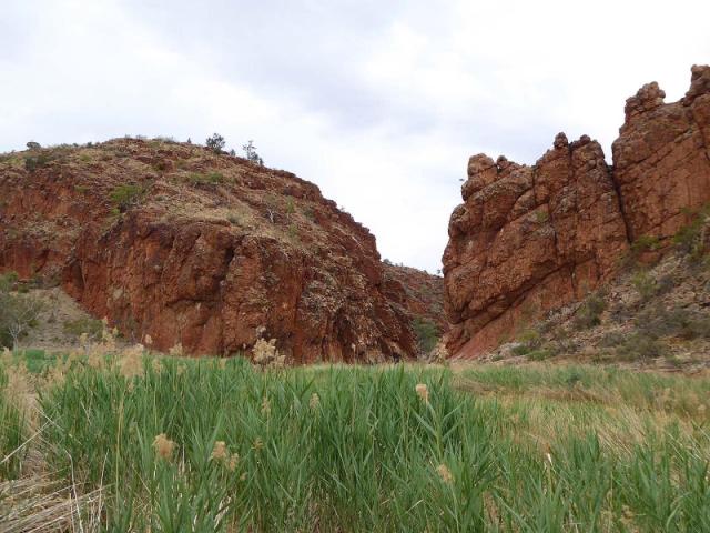 Glen Helen Gorge