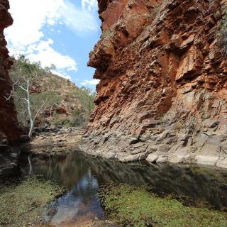 Serpentine Gorge