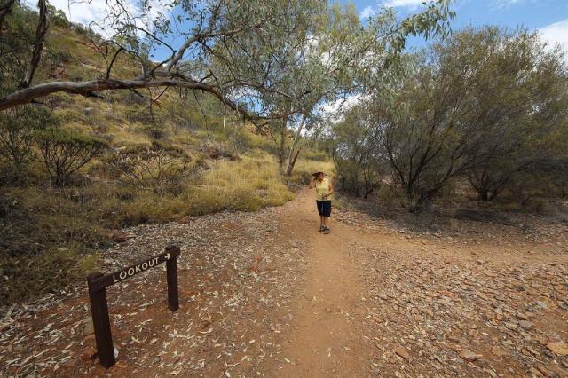 Serpentine Gorge Lookout