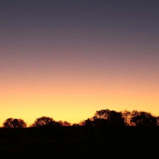 Erldunda - Desert Oaks Resort