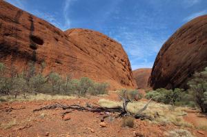 Go to Valley of the Winds - Karingana Lookout, Kata Tjuta (Olgas) NT 