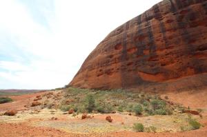 Go to Walpa Gorge Walk, Kata Tjuta (Olgas) NT 