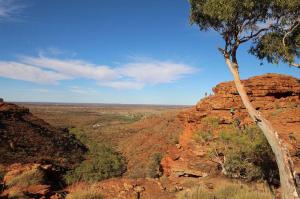 Go to Kings Canyon Rim Walk, Kings Canyon NT 