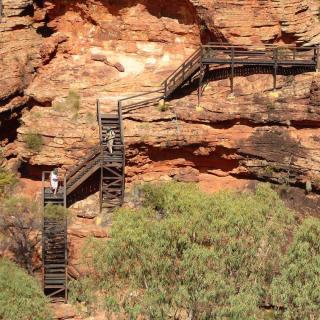 Kings Canyon Rim Walk