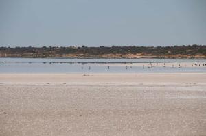 Go to Lake Hart, Woomera SA 