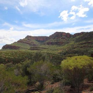 Flinders Ranges NP