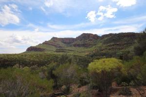 Go to Flinders Ranges NP, SA 