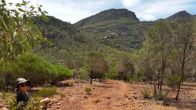 Boom & Bust Loop Walk