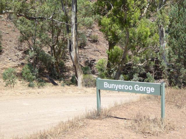 Bunyeroo Gorge