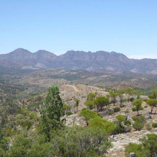 Bunyeroo Valley Lookout
