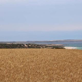 Yorke Peninsula