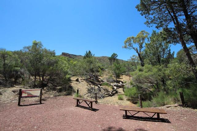 Wilpena Pound Hills Homestead Walk