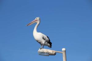 Go to Point Turton, SA 