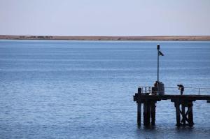 Go to Port Victoria Jetty, Port Victoria SA 