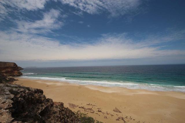 Ethel Wreck Beach Lookout