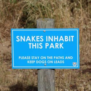 Bashams Beach Regional Park