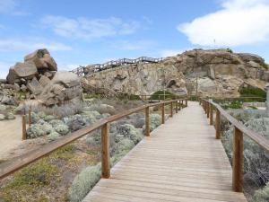 Go to Granite Island, Victor Harbor SA 