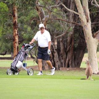 Victor Harbor Golf Club